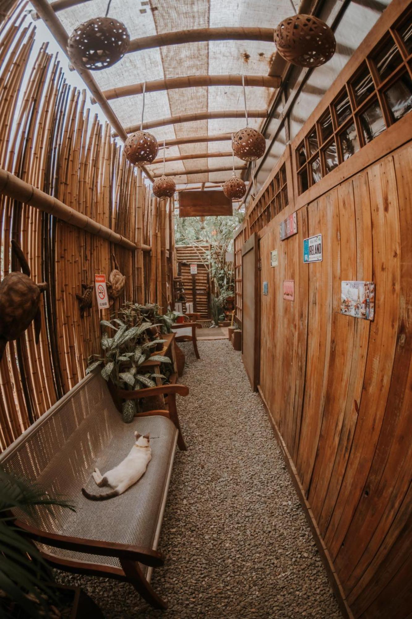 Doce Lar Hostel Noronha Фернанду ди Нороня Екстериор снимка